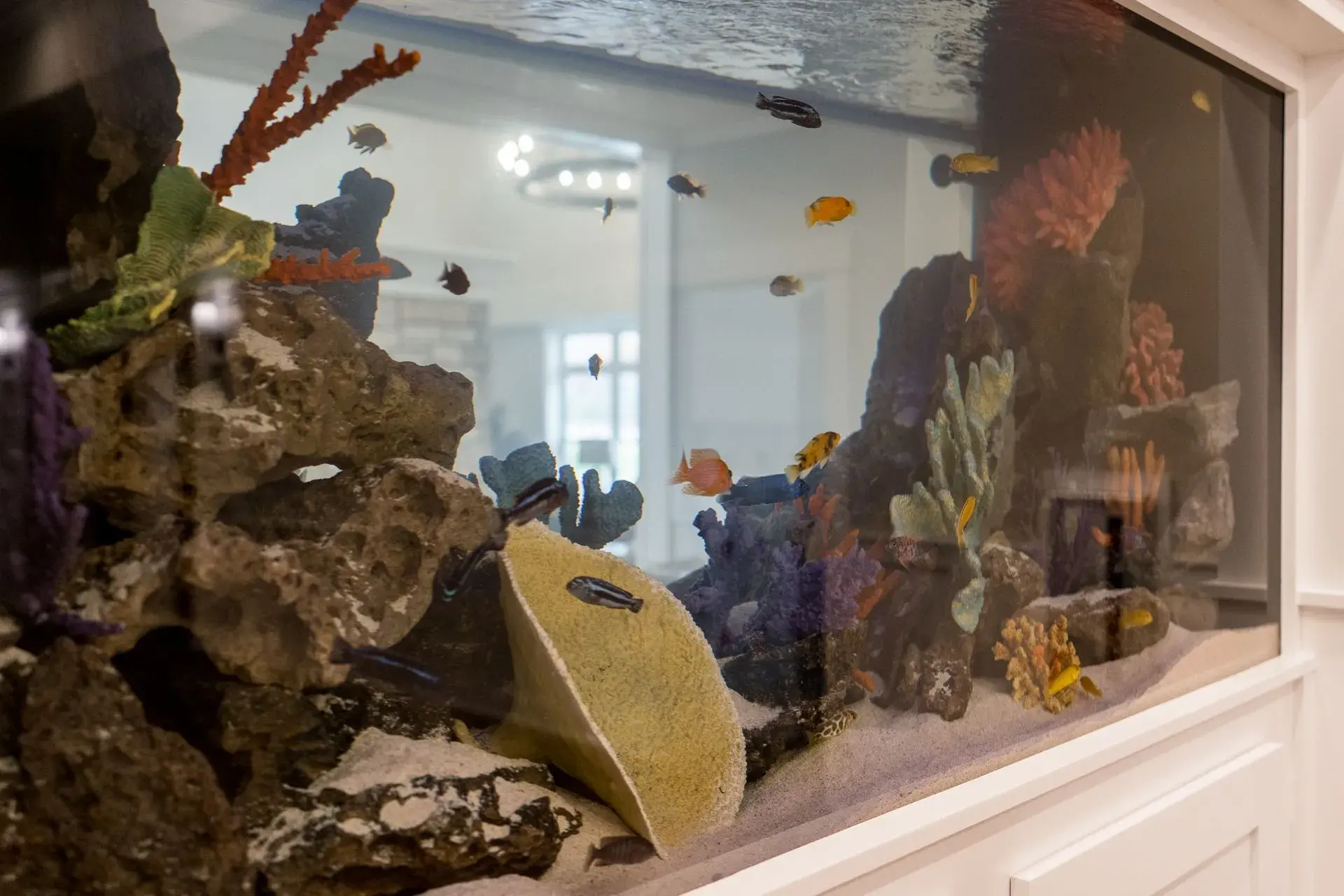 6700+Egan+Drive+MLS-60-1920w