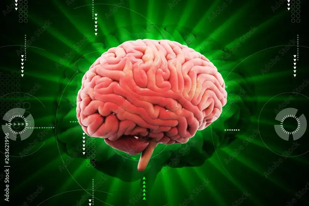 AdobeStock_263621996_Preview-1920w